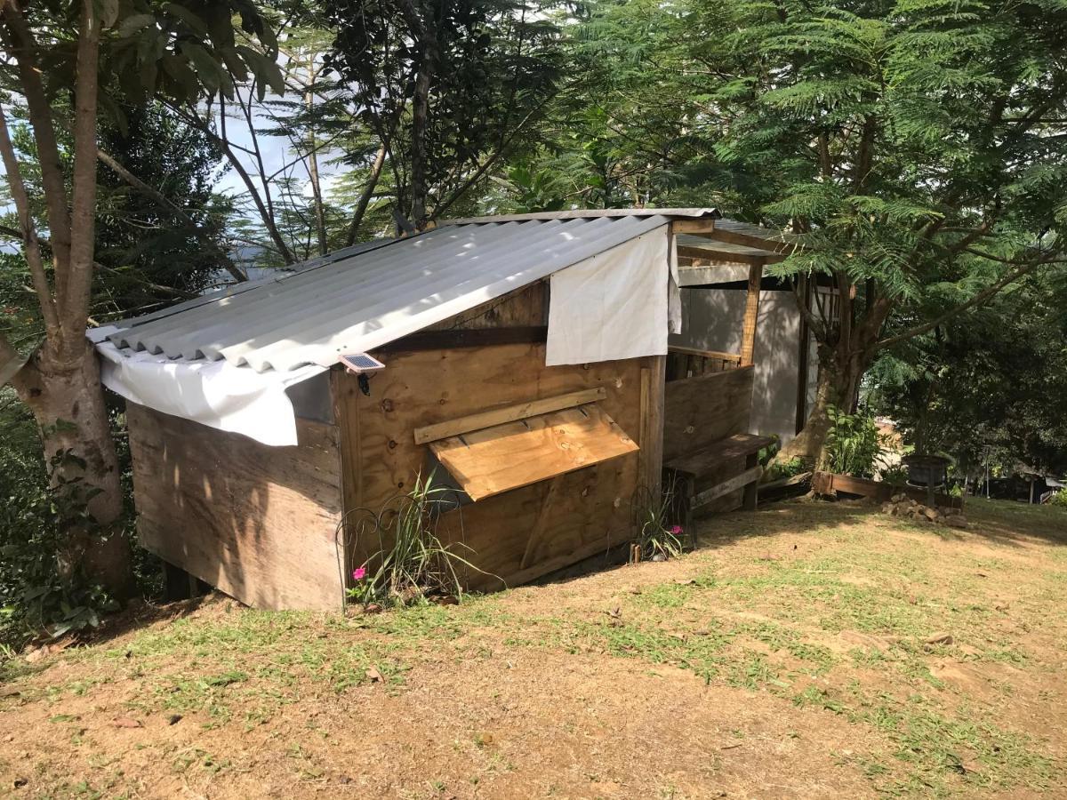 Camping Para Dos - A Escoger Segun Disponibilidad De Caseta O Cabana Caguas Zewnętrze zdjęcie