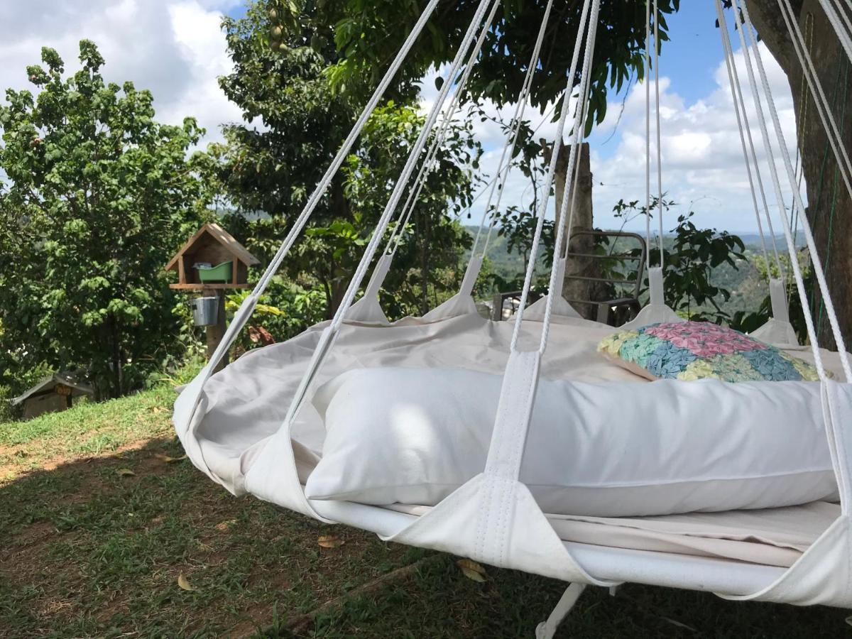 Camping Para Dos - A Escoger Segun Disponibilidad De Caseta O Cabana Caguas Zewnętrze zdjęcie