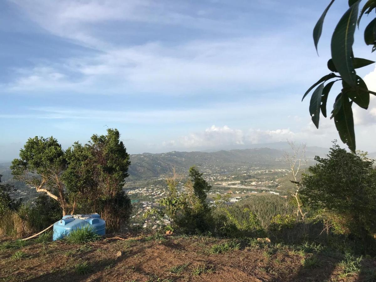 Camping Para Dos - A Escoger Segun Disponibilidad De Caseta O Cabana Caguas Zewnętrze zdjęcie