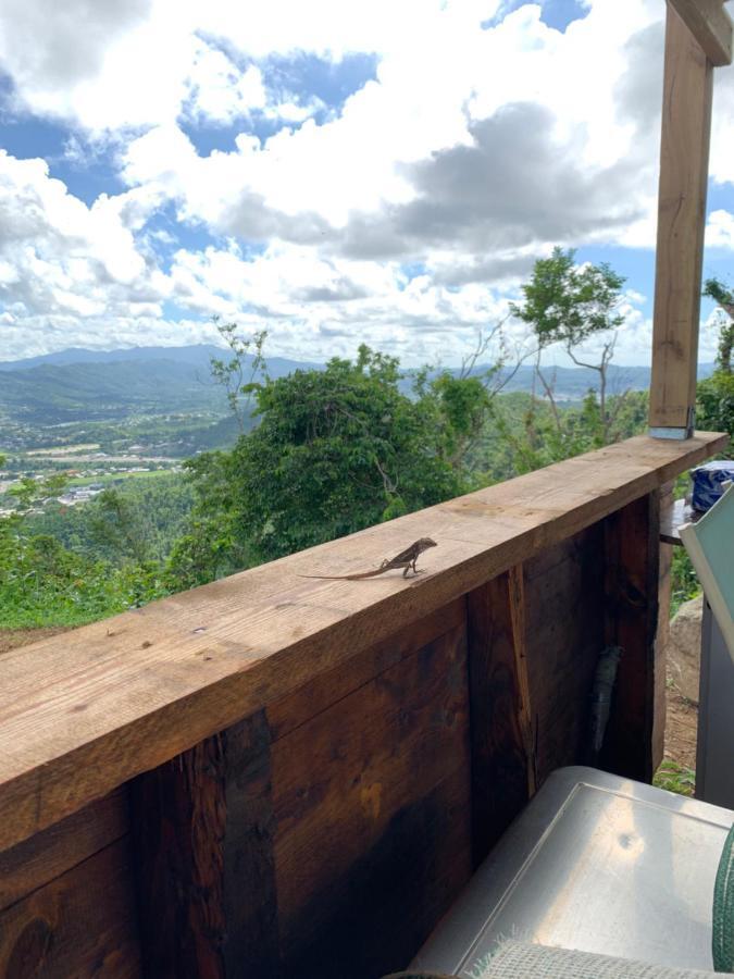 Camping Para Dos - A Escoger Segun Disponibilidad De Caseta O Cabana Caguas Zewnętrze zdjęcie