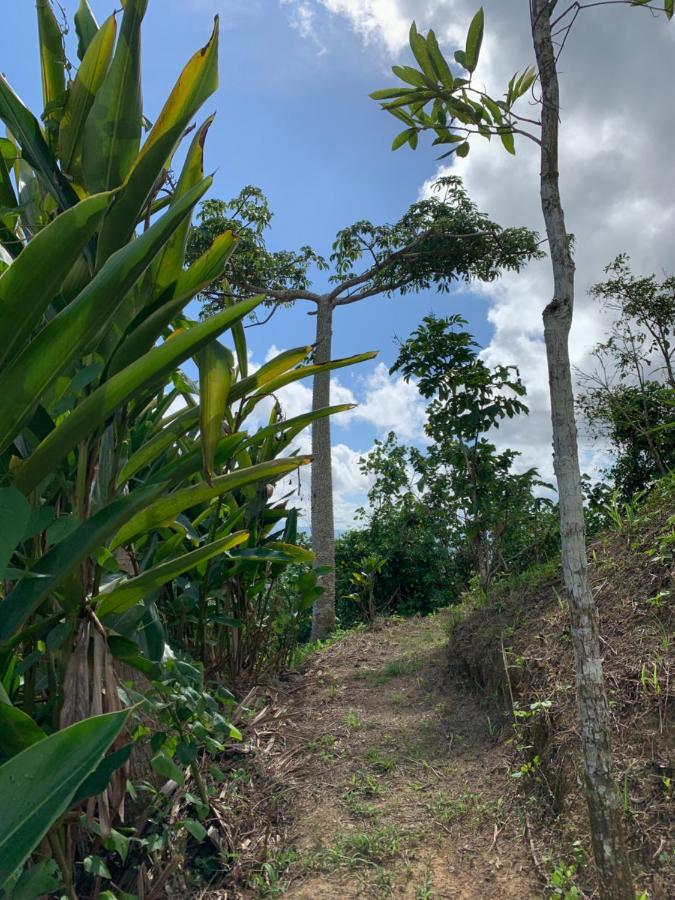 Camping Para Dos - A Escoger Segun Disponibilidad De Caseta O Cabana Caguas Zewnętrze zdjęcie