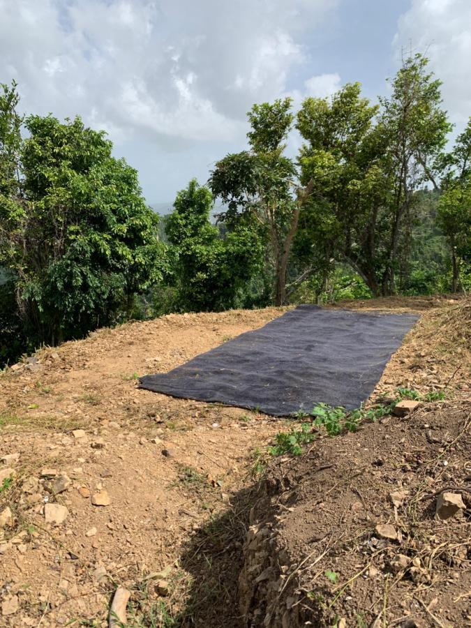 Camping Para Dos - A Escoger Segun Disponibilidad De Caseta O Cabana Caguas Zewnętrze zdjęcie