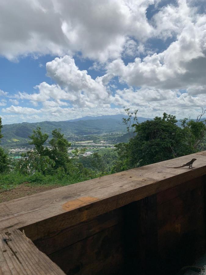 Camping Para Dos - A Escoger Segun Disponibilidad De Caseta O Cabana Caguas Zewnętrze zdjęcie